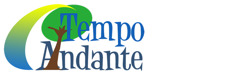 Inicio